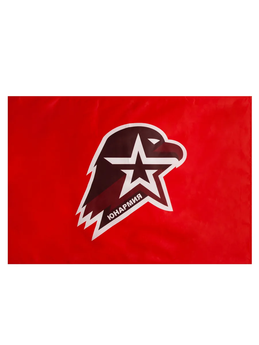 Знамя Юнармия